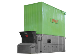 燃生物质燃料导热油炉